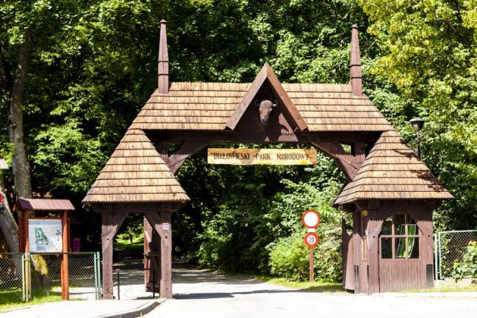 Brama Białowieskiego Parku Narodowego